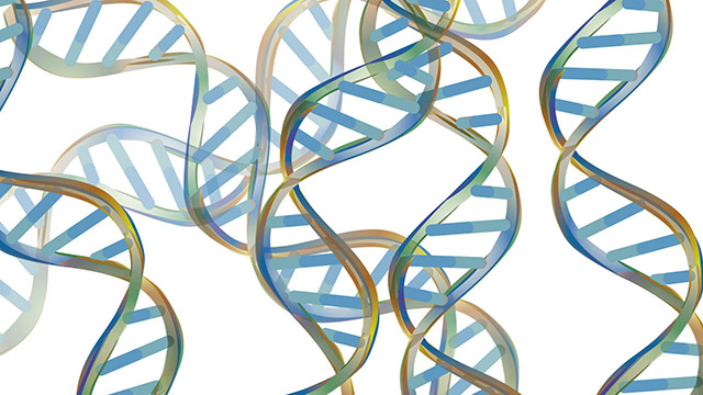 Simple illustraion of several twisted ribbon of a DNA molecule overlaid in many directions.