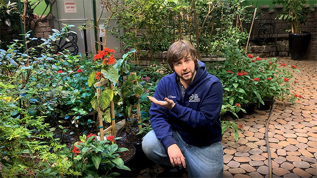 A man with brown hair and facial hair wearing a dark blue sweatshirt kneels next to some potted plants