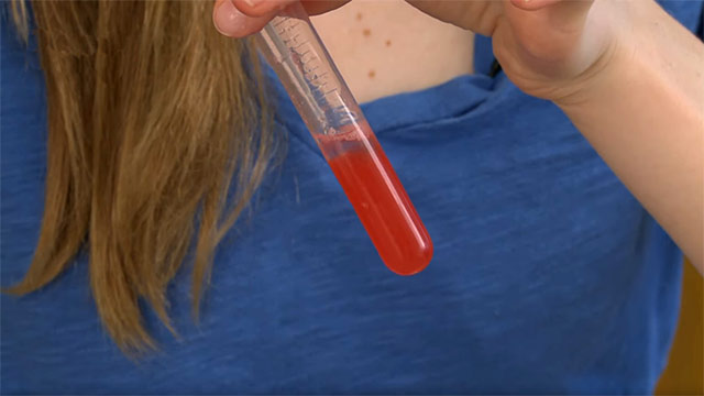 Out of picture frame person with long light brown hair and wearing a blue shirt holds a test tube containing a red substance.
