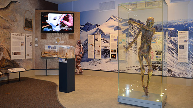 View of DNALC museum exhbition including Ötzi the  Iceman mummy in a glass case, a video screen and exhibition labels on a backdrop image of snowy mountains.
