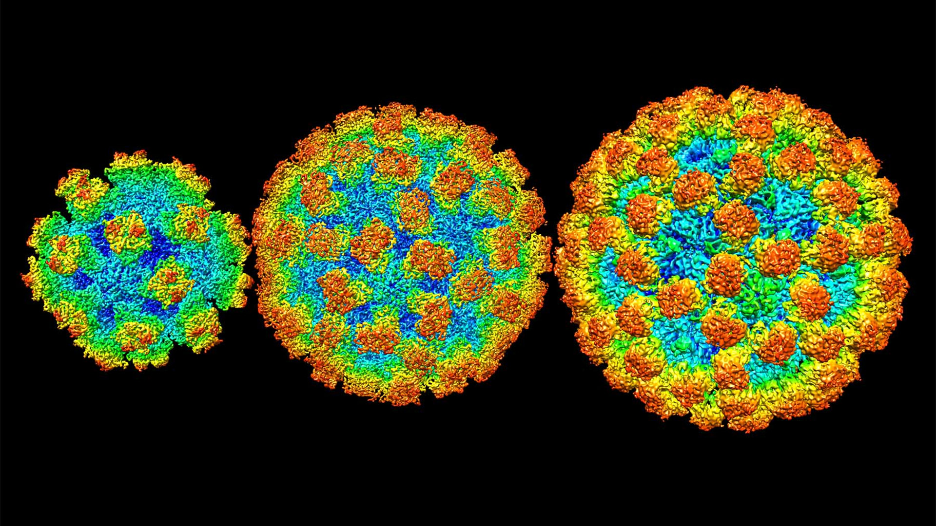Норовирус 2 генотип