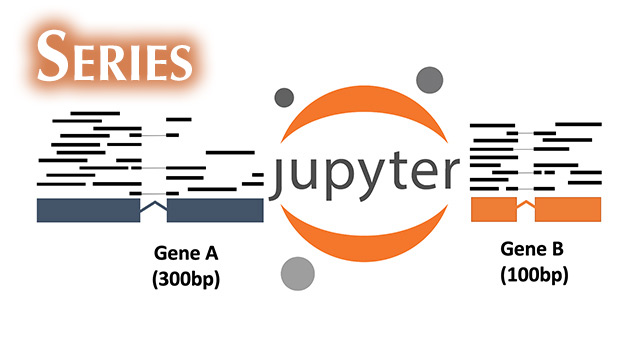 Graphic of several rectangles representing portions of genes with a circular shape and the text Jupter in the center