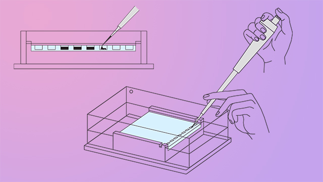 Simple line drawings of an acrylic box containing liquid and a micropipette guided by a hand; on a pink to purple background.