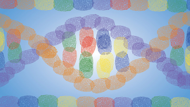 Simple illustraion of the twisted ribbon of a DNA molecule comprised of colorful fingerprints.