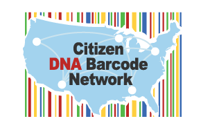Citizen DNA Barcode Network logo: Silhouette of continental US map over background of colored bars.