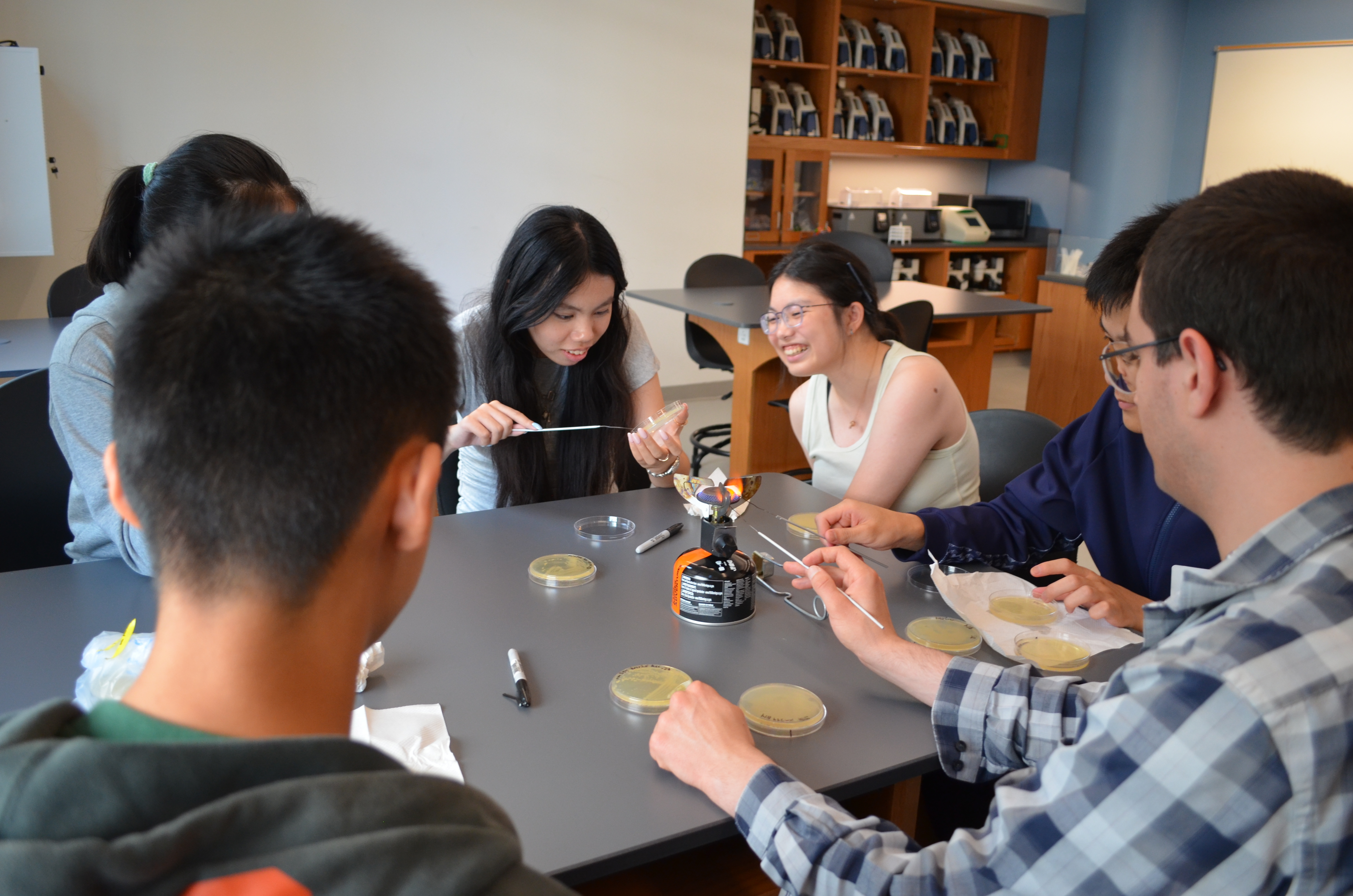 student performing DNA experiment in Petri dish