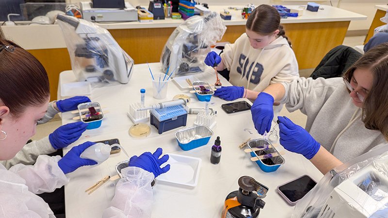 Students perform the Gram stain technique in a Laboratory classroom 