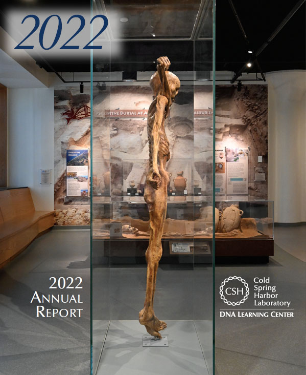 Annual report cover showing Ötzi the Iceman mummy replica in the foreground with a Philistine burial recreation and mural beyond