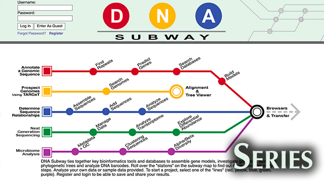 Screen shot of DNA Subway website including text and colored lines meant to resemble those on a subway transit map.
