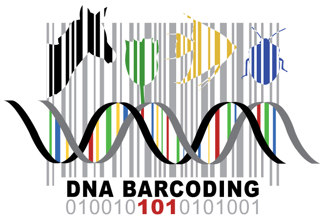 BLI logo colored bars over a silhouette of mainland USA 