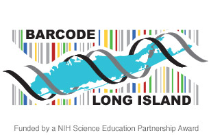 Barcode Long Island logo with a Long Island silhouette wrapped with a DNA double helix over a background of colored bars