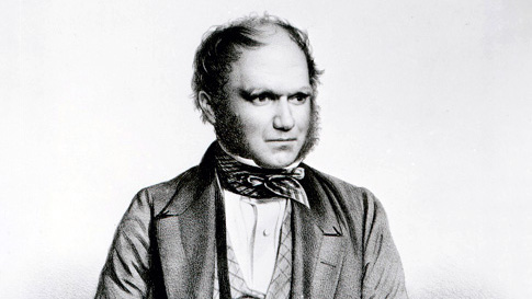 1849 portrait of Darwin, drawn about the time of Beagle voyage