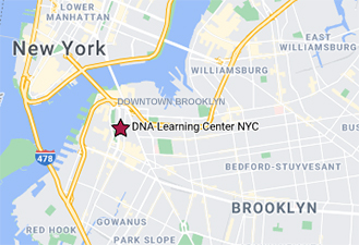 dnalc nyc brooklyn location