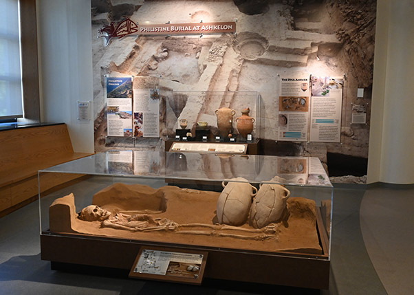 Display case with life-size recreation of Philistine burial including reclining skeleton and large storage jars. Background includes large photo backdrop of  remains of a Philistin home, exhibition labels, and display case including actual artifacts from the archaeological excavation site. 