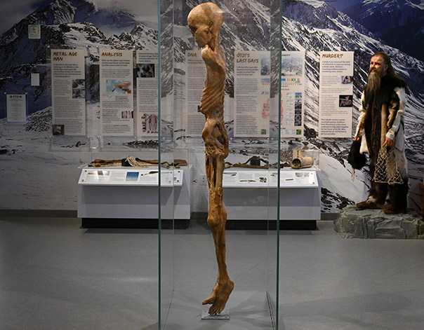 Otzi mummy side view with exhibition labels and displays of equipment replicas in the background; Otzi mannequin dressed in fur coat and leggings stands on the right side.