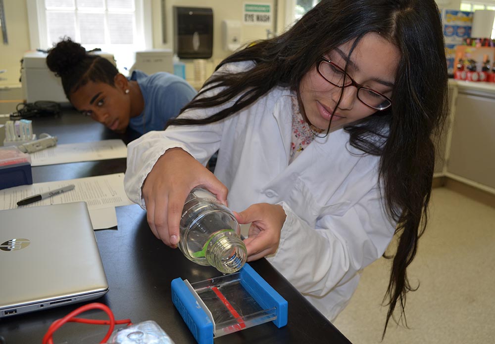 a student pours an agarose gel while another looks on
