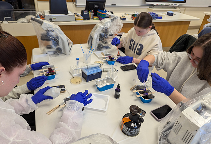 Stutends perform gram stains in a lab classroom.