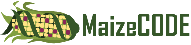 MaizeCode Logo