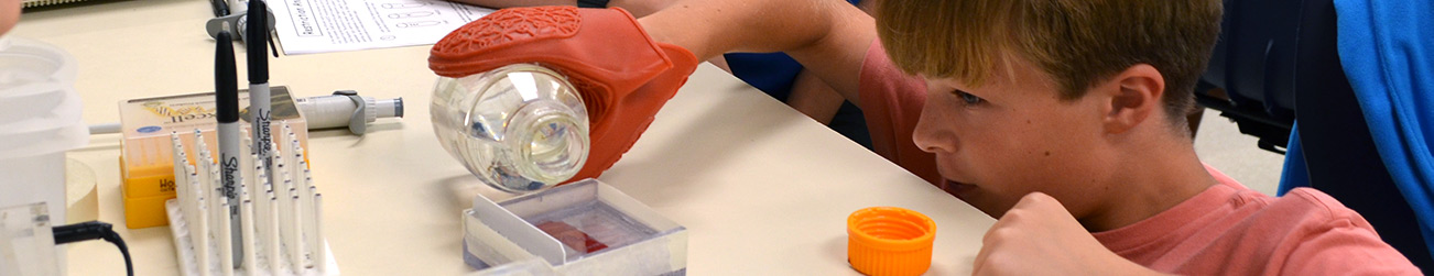 wide photo of student wearing a silicone protective glove pouring agarose into a gel electrophoresis tray. Other laboratory equipment is set up on the lab bench. 