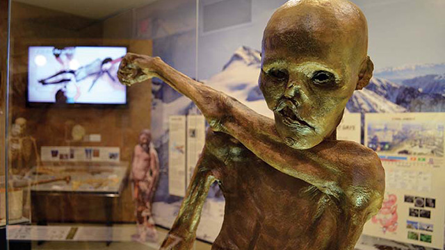 Otzi the Iceman 3D Replica in a exhibition at the DNA Learning Center