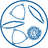 circle with simple line drawing of five pollen grains.