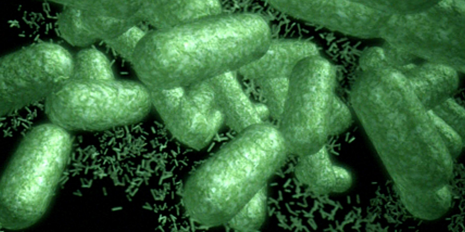 3d graphic of bacteria cell in green