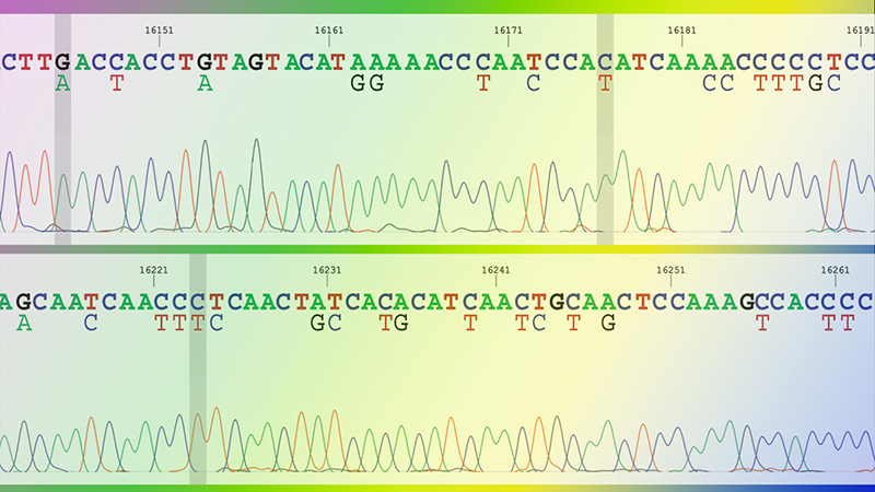 DNA sequencing