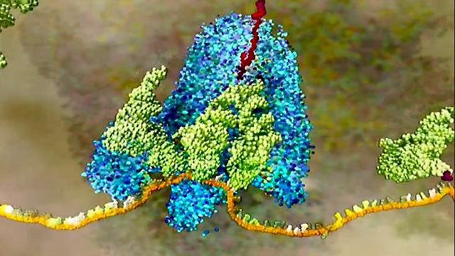 Molecular illustration of dna translation