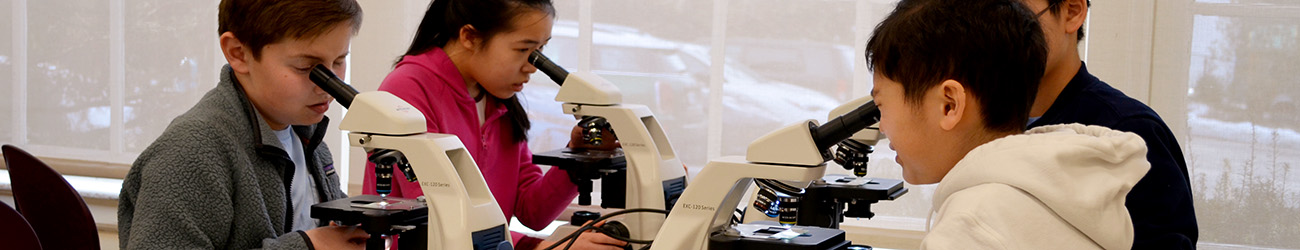 Four students in a DNALC lab classroom using microscopes.