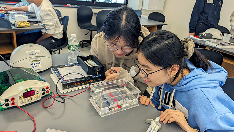 Two students in a science classroom observing gel electrophoresis.