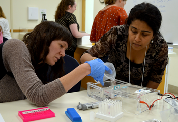 Two adult person loading buffers for gel electrophoresis at a desk with scientific supplies in a laboratory classroom.