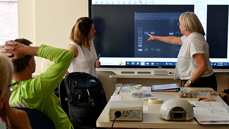 A group of adults looking at a DNA gel photo on a screen in a laboratory classroom.