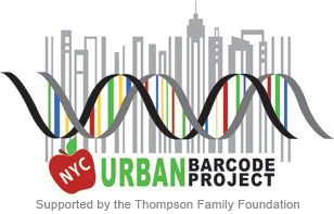 Urban Barcode Project Logo: DNA double helix and red apple over stylized New York City skyline