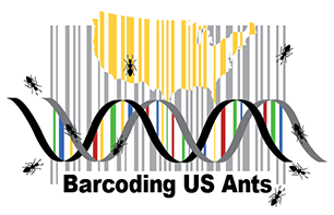 Barcoding US Ants logo: DNA double helix, ant silhouettes, and US map overlayed on gray bars.
