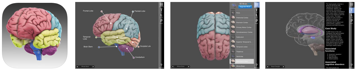 3-D Brain App - CSHL DNA Learning Center