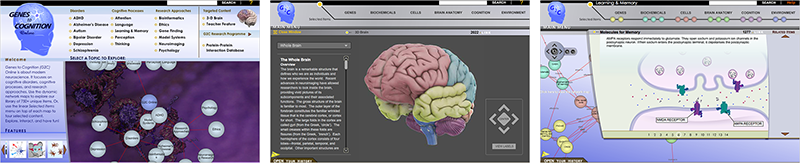 Genes to Cognition (G2C) Online