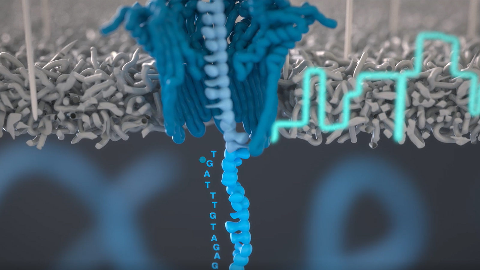 Computer-generated image of a protein nanopore, colored in dark blue. DNA, colored in light blue, is being fed through the nanopore. Change in current across the pore is symbolized as a light green line to the right of the nanopore. Text at the bottom of the image reads 'TGATTTGTAG’ symbolizing the DNA that is sequenced.