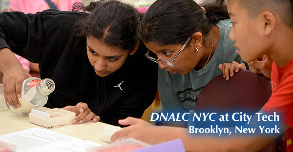 Two students look on as another pours agarose into an acrylic gel box